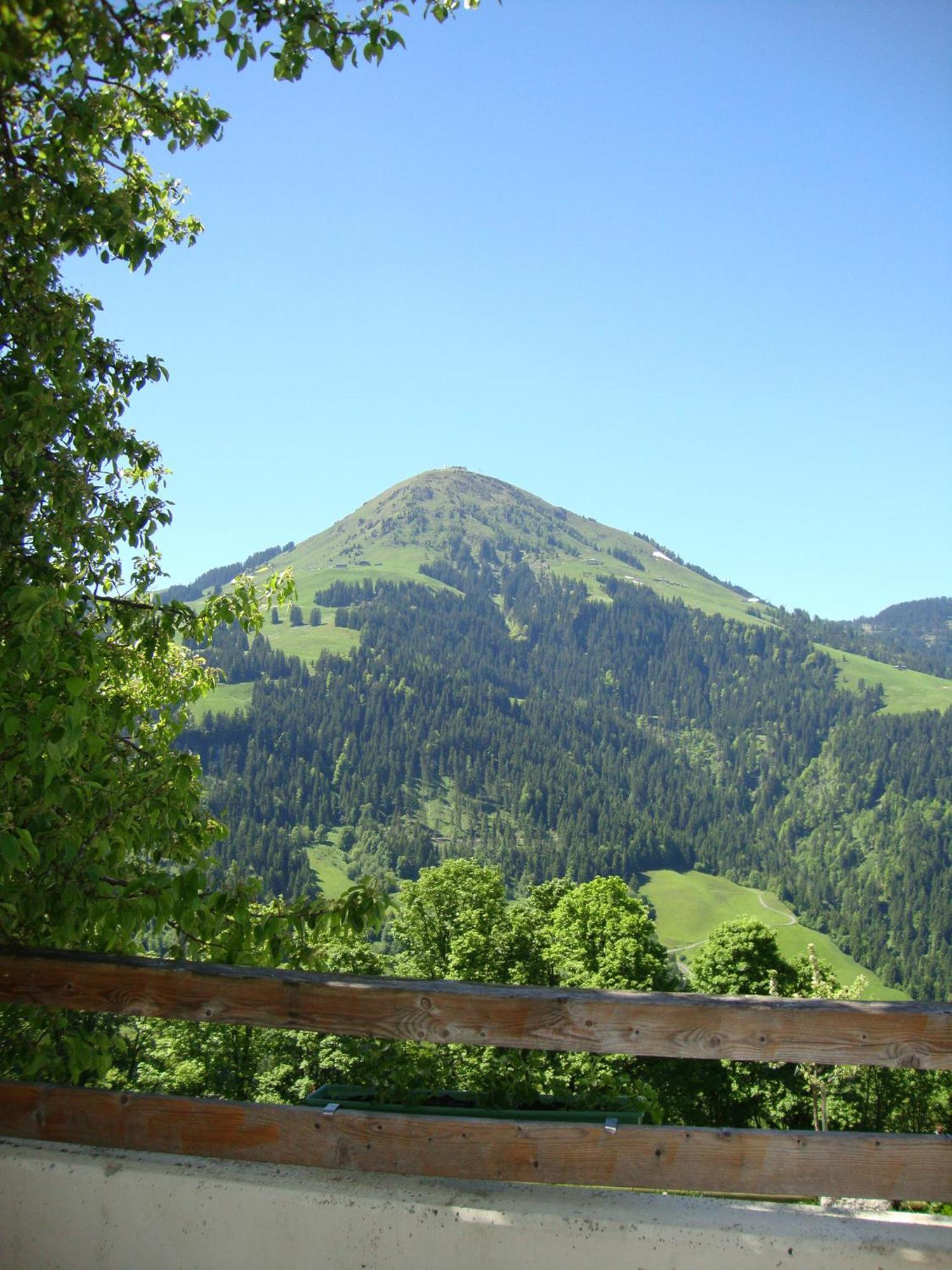 Alpengasthof Gruberhof سول المظهر الخارجي الصورة