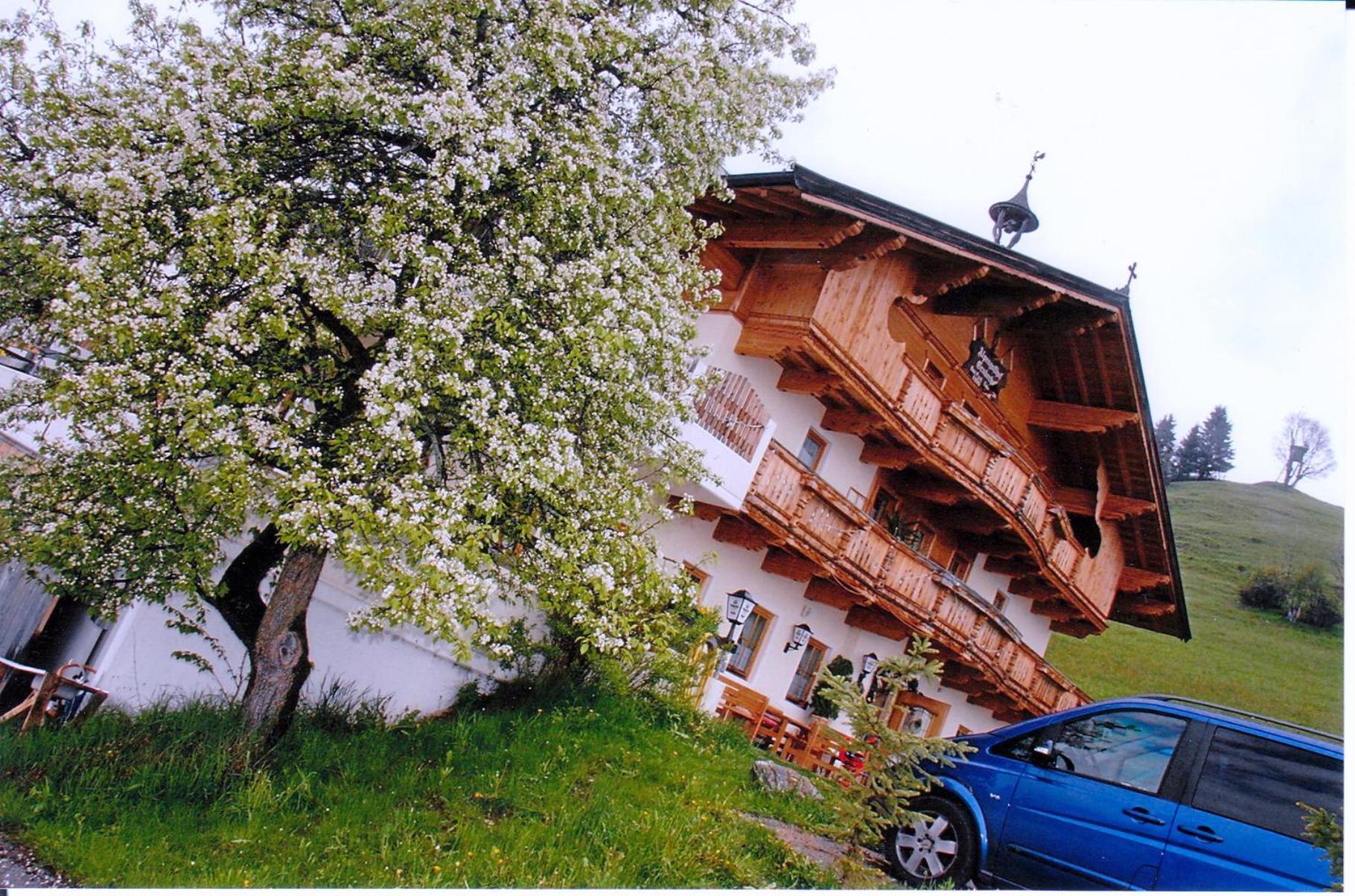Alpengasthof Gruberhof سول المظهر الخارجي الصورة